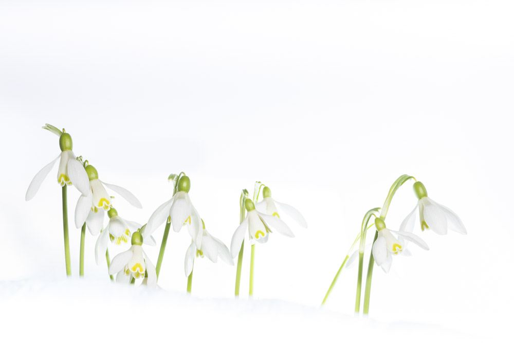 Platz 4 Daniela Korn